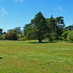 San_Francisco_Botanical_Garden_Great_Lawn_1