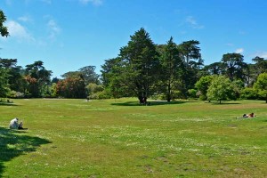 San_Francisco_Botanical_Garden_Great_Lawn_1