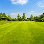 mowing