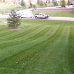 mowing1