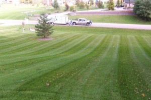 mowing1