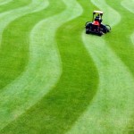 mowing_1280x1024_A