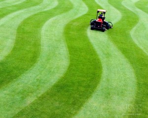 mowing_1280x1024_A