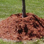 vmulchlg