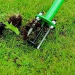 weed removal